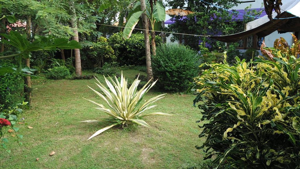 Arabian Soul Bed and Breakfast Varkala Zewnętrze zdjęcie